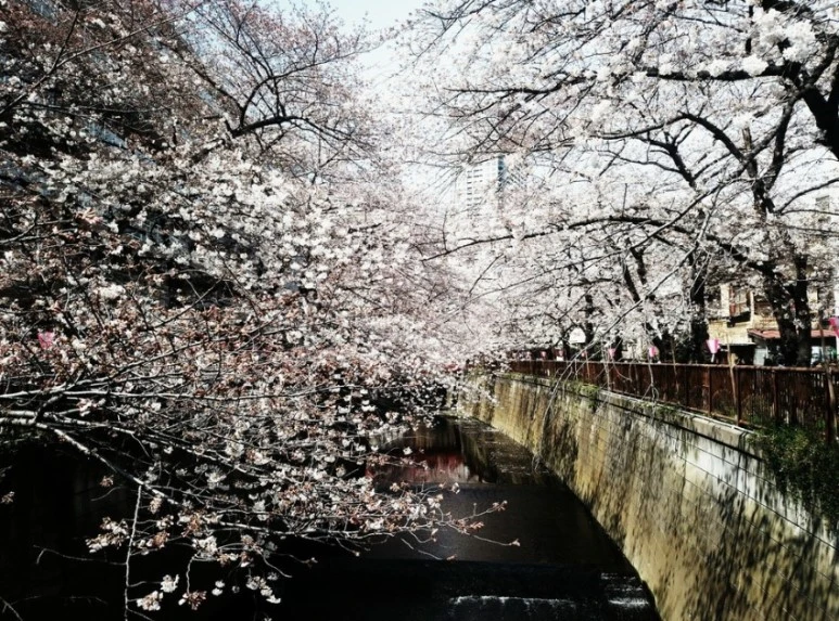 google_co_kr_20160920_073319.jpg?type=w773