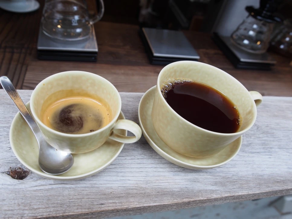 P9070104.JPG?type=w966