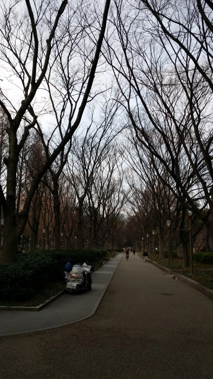 20150312_082542.jpg?type=w2