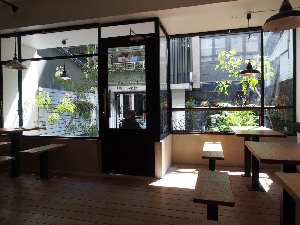 P3110390.JPG?type=w966