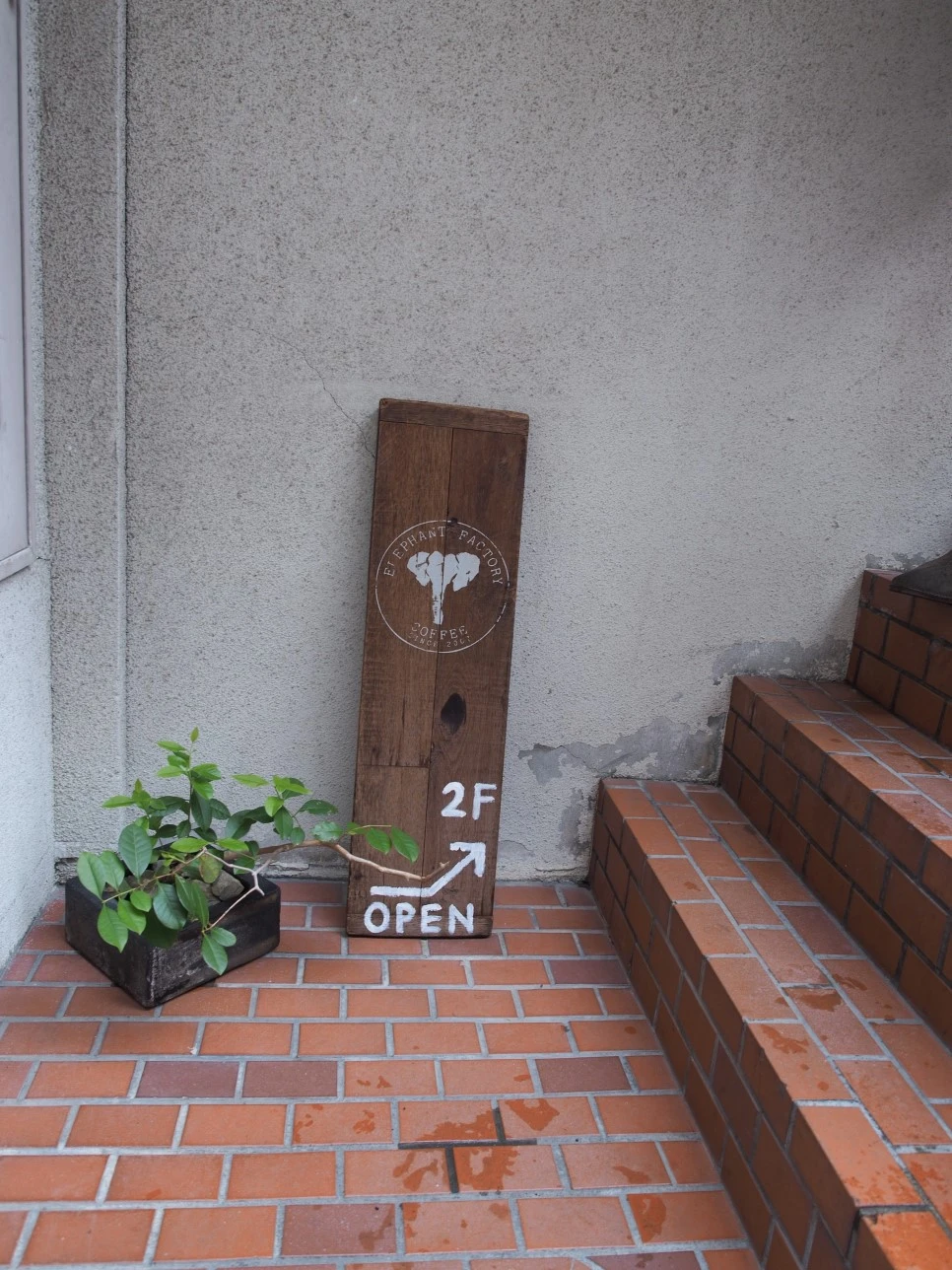 P4270483.JPG?type=w966