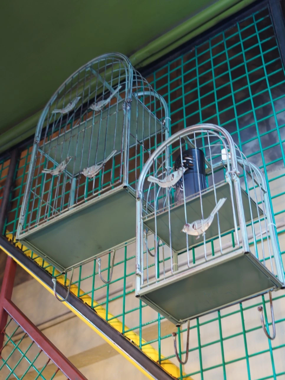 P6121845.JPG?type=w966