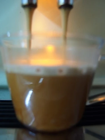 P1048391.JPG?type=w1