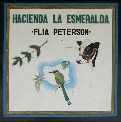 kkkdd_%281%29.png?type=w773