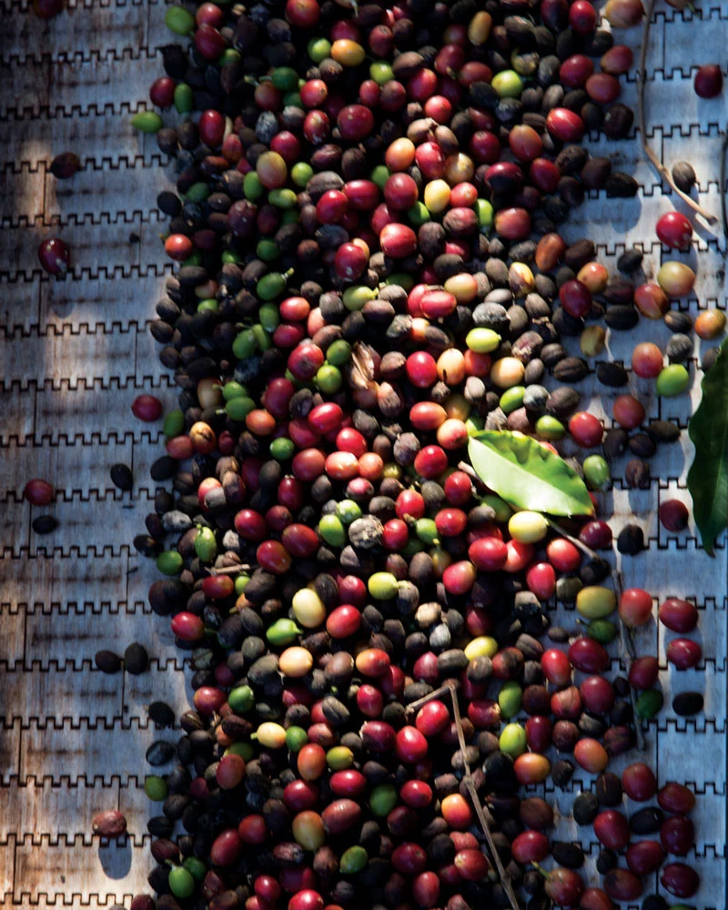 coffee_Waialua.jpg?type=w966