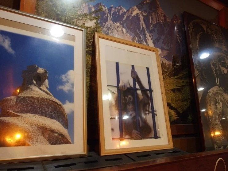 P9166720.JPG?type=w2