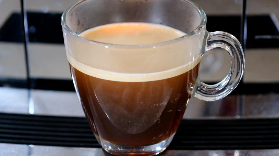 DSCF4101.MOV_000038304.png?type=w966