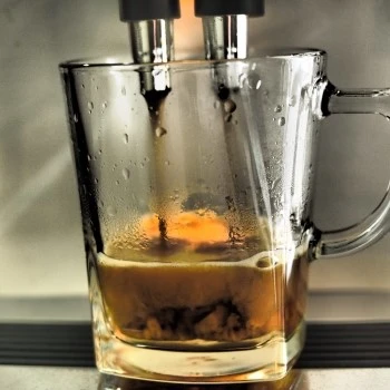 P8130370.JPG?type=w1