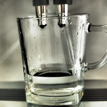 P8130368.JPG?type=w1