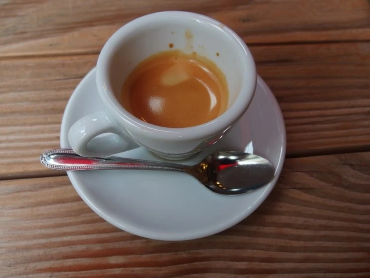 P9166832.JPG?type=w2