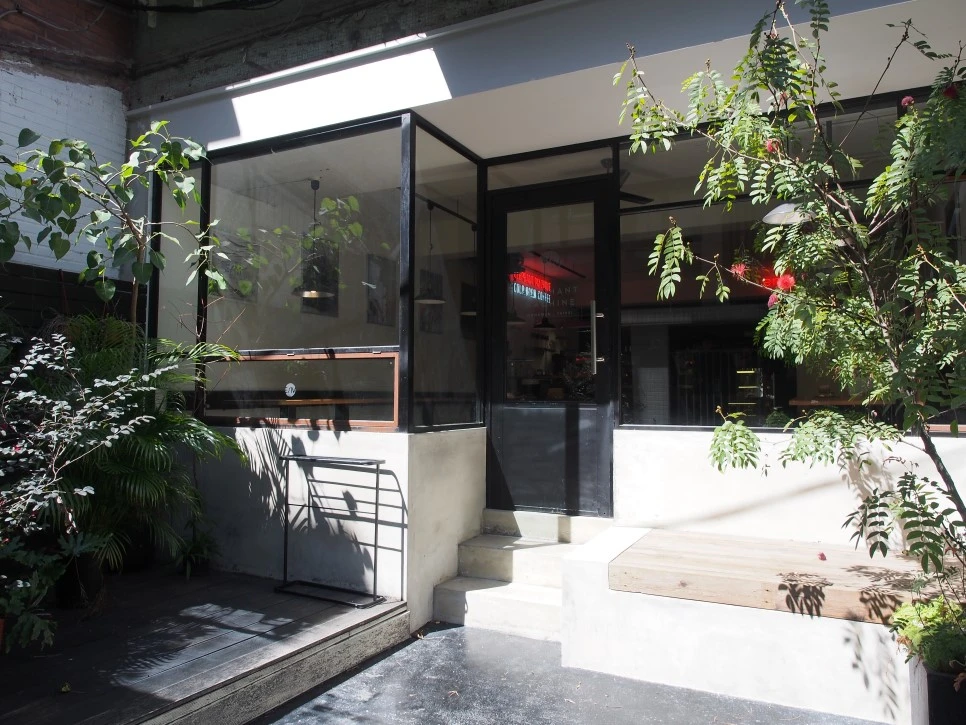 P3110395.JPG?type=w966