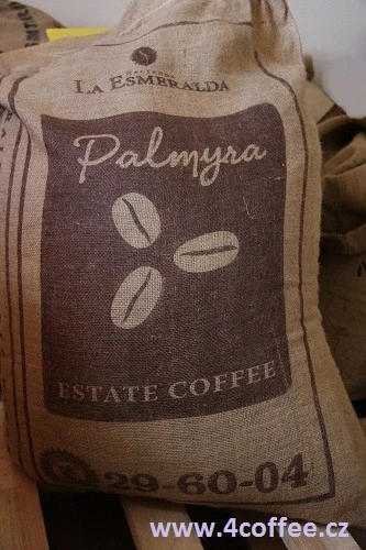 panama_pyt_1-500x500.jpg?type=w966