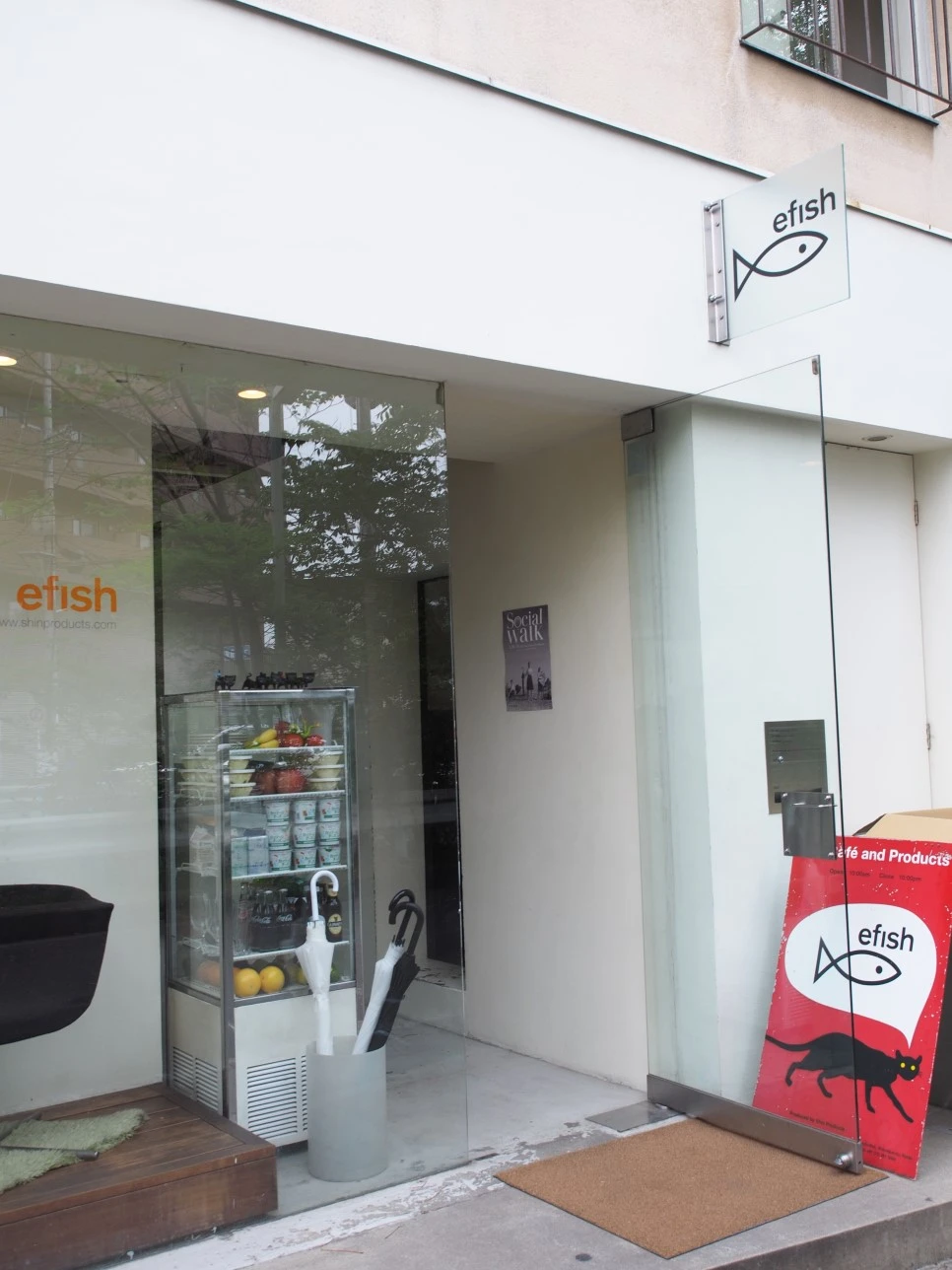 P4270295.JPG?type=w966