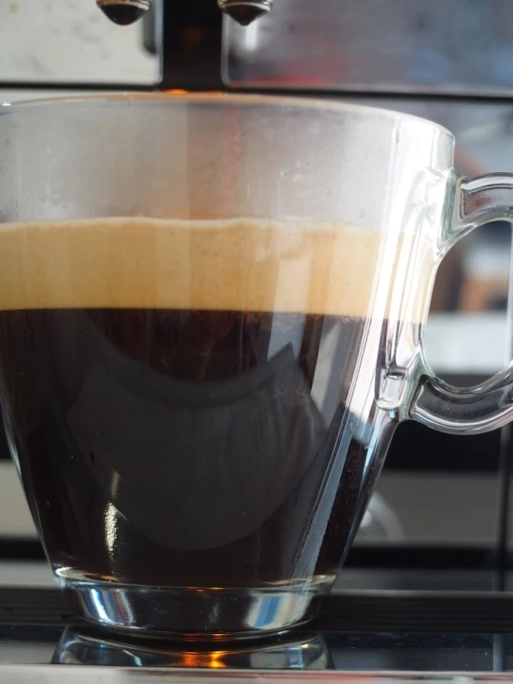 P8076154.jpg?type=w966