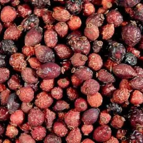 Rosehips.jpg?type=w773