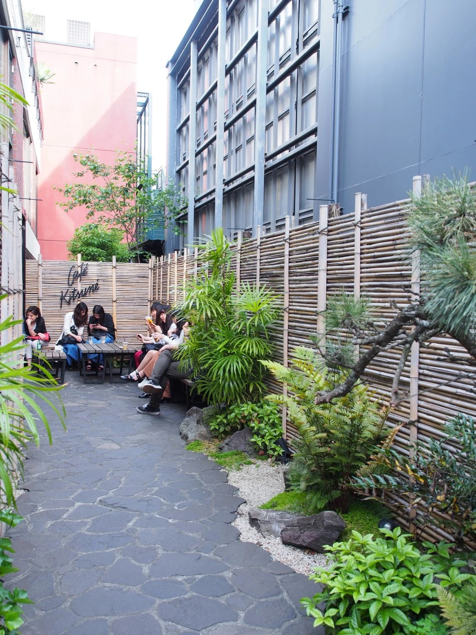 P5141495.JPG?type=w966