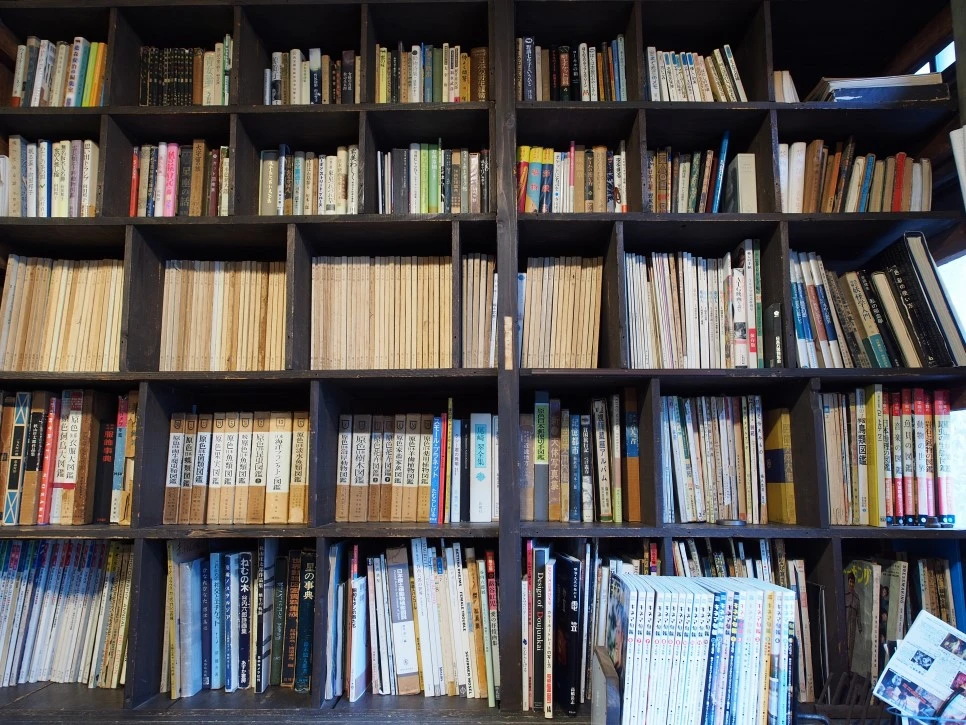 P4280863.JPG?type=w966