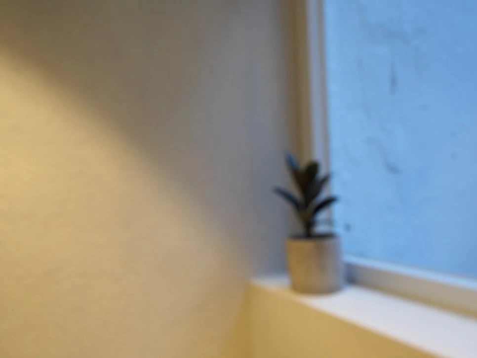 P6131998.JPG?type=w966