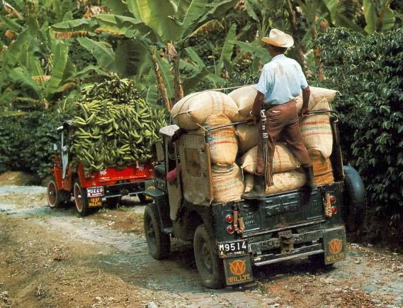 BananaCoffeeJeepsRear.jpg?type=w966