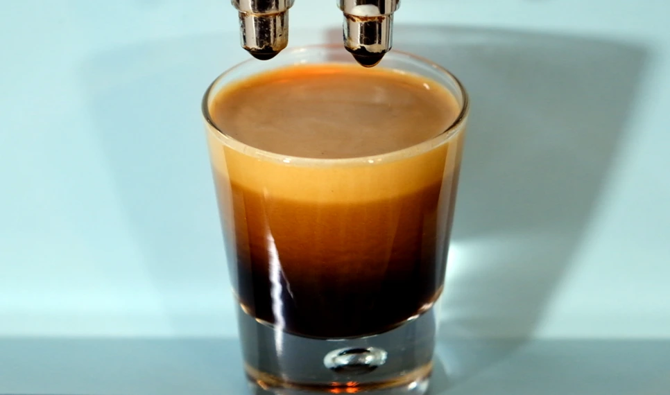 SE-f9468926-ae04-4797-a200-069a11dcacd8.png?type=w966