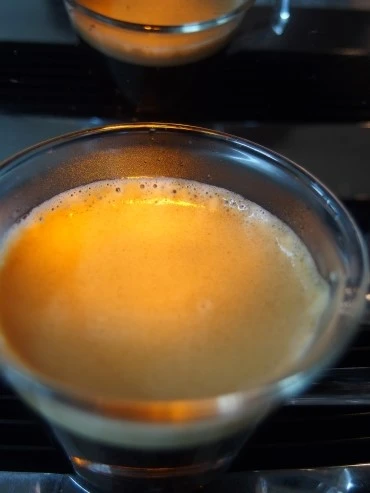 P1048394.jpg?type=w966