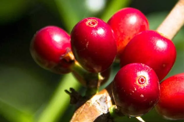 mug_obj_157620074079338289.jpg?type=w1200