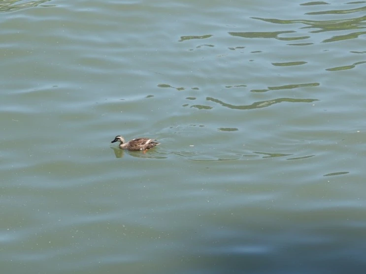 P5135003.JPG?type=w2