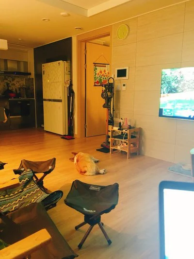 9984E73A5B227DAE0D407A