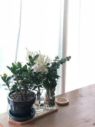 99A4F7375B153666359AB3