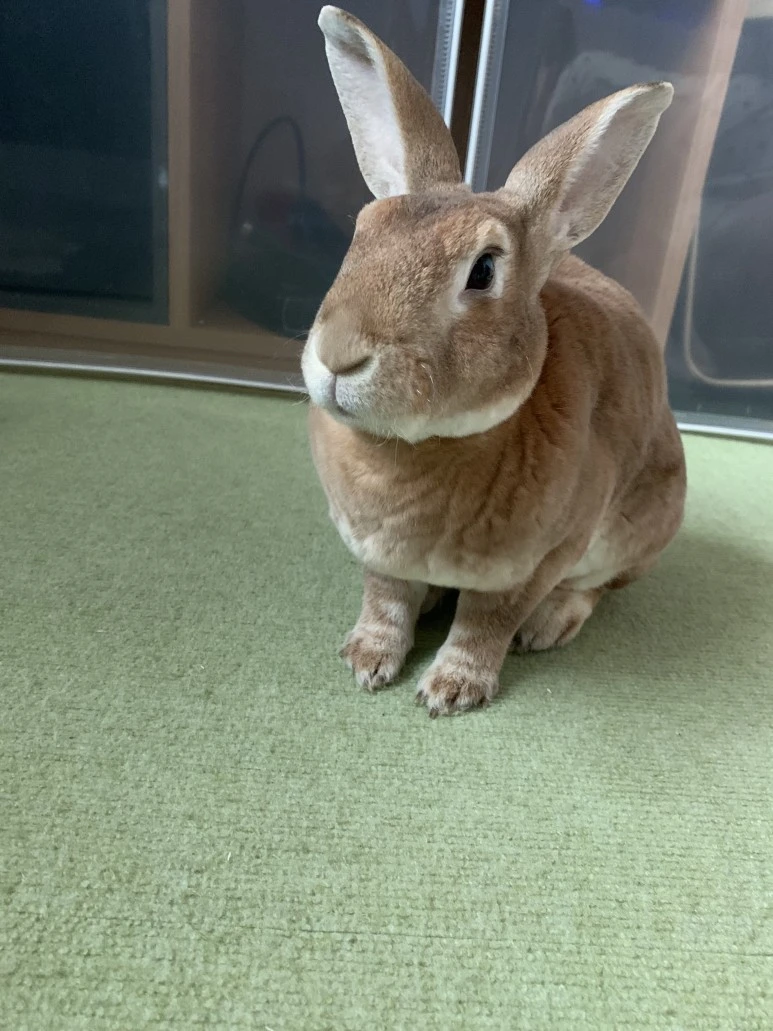 IMG_1047.JPG?type=w773