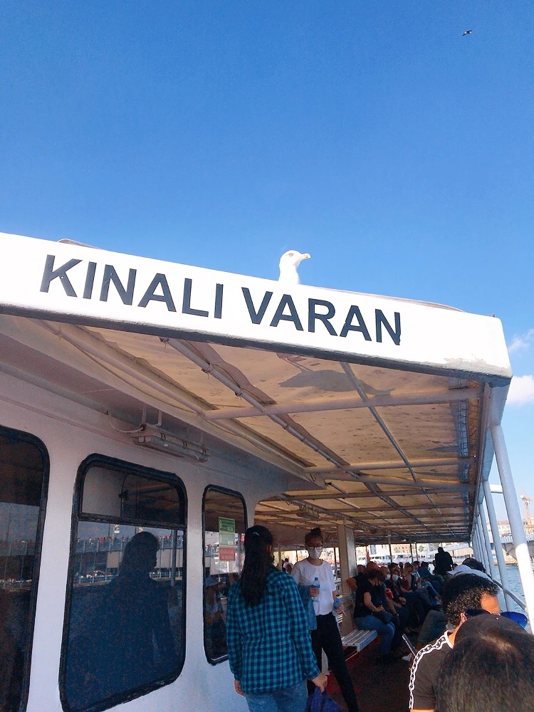 IMG_3129.JPG?type=w1