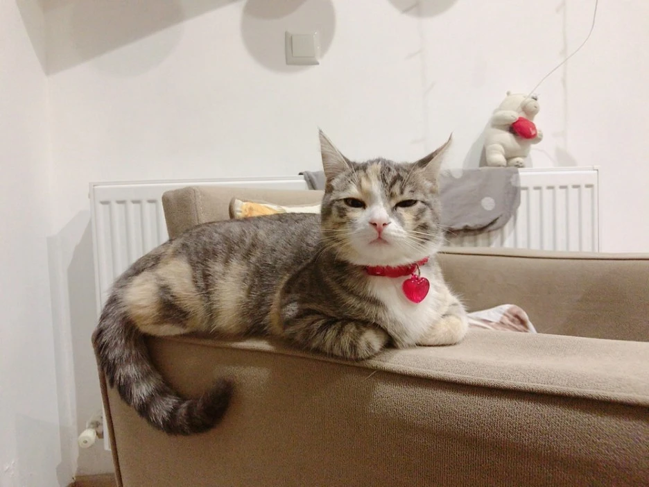 KakaoTalk_20211006_193620797_01.jpg?type=w1