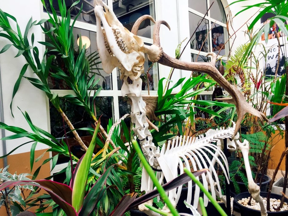 IMG_5047.JPG?type=w1