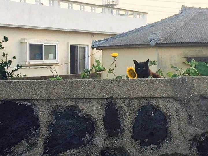 FB_IMG_1438152949998.jpg?type=w1