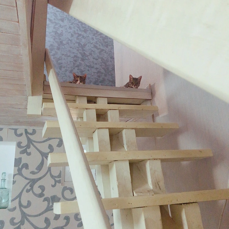 KakaoTalk_20210910_182904473_01.jpg?type=w1