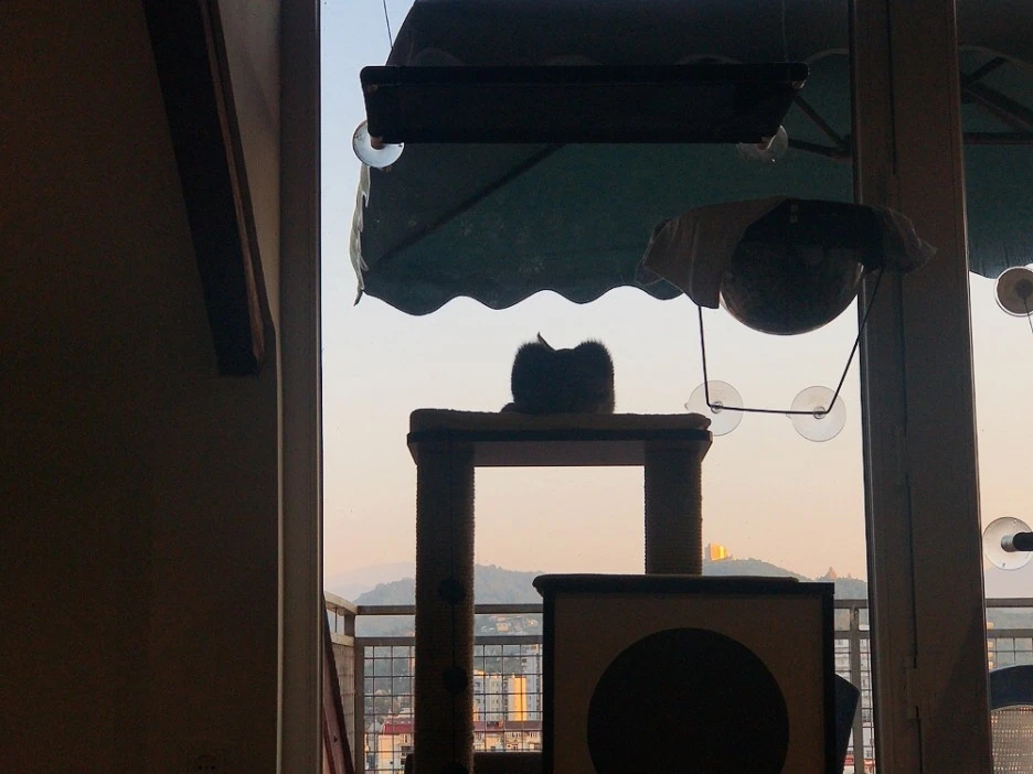 KakaoTalk_20210910_182904473_14.jpg?type=w1