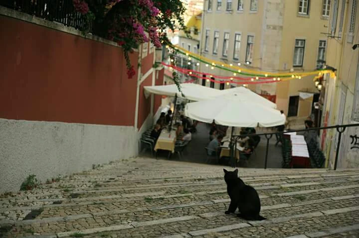 FB_IMG_1439575635876.jpg?type=w1