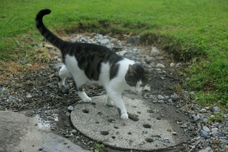 IMG_0038.JPG?type=w1