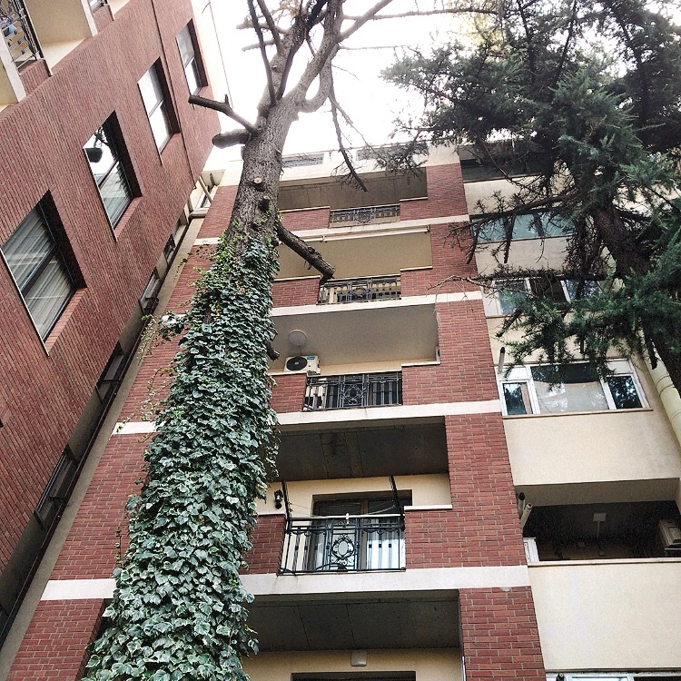 KakaoTalk_20211011_181424208_19.jpg?type=w1