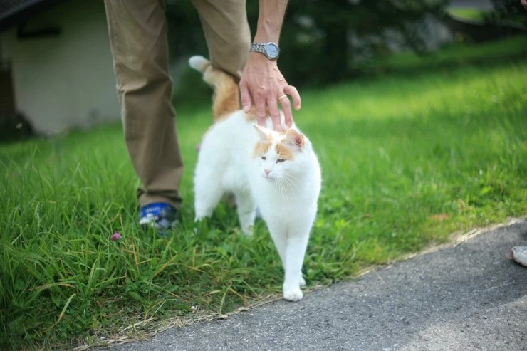 IMG_9766.JPG?type=w1