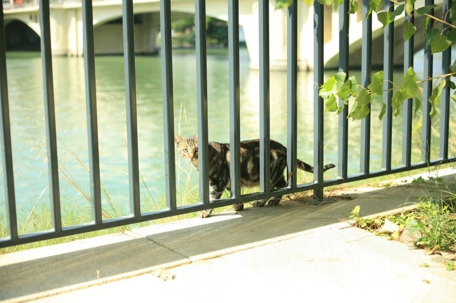 10655395_725214830891499_3668795685354411431_o.jpg?type=w1