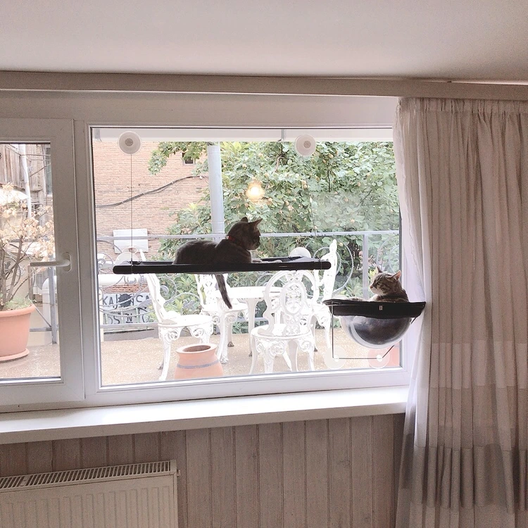 KakaoTalk_20210910_182904473_04.jpg?type=w1