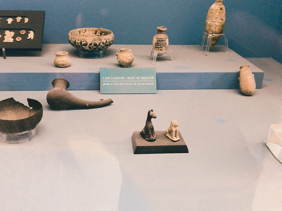 IMG_3106.JPG?type=w1