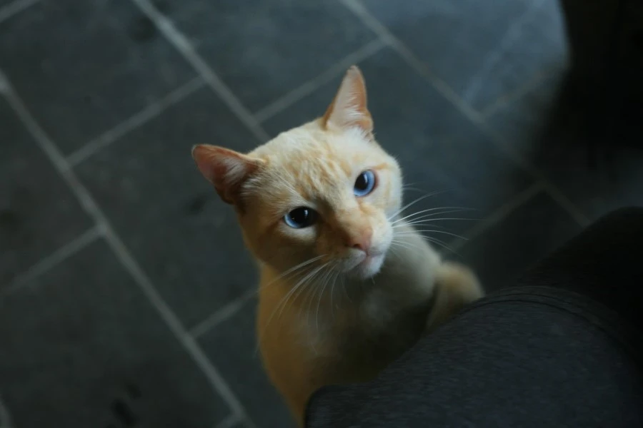 IMG_1173.JPG?type=w1