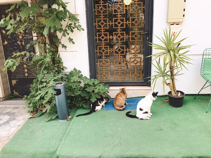 IMG_2994.JPG?type=w1