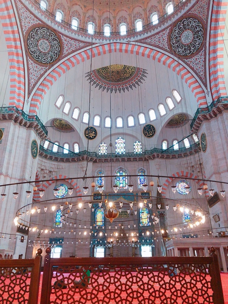 IMG_3242.JPG?type=w1