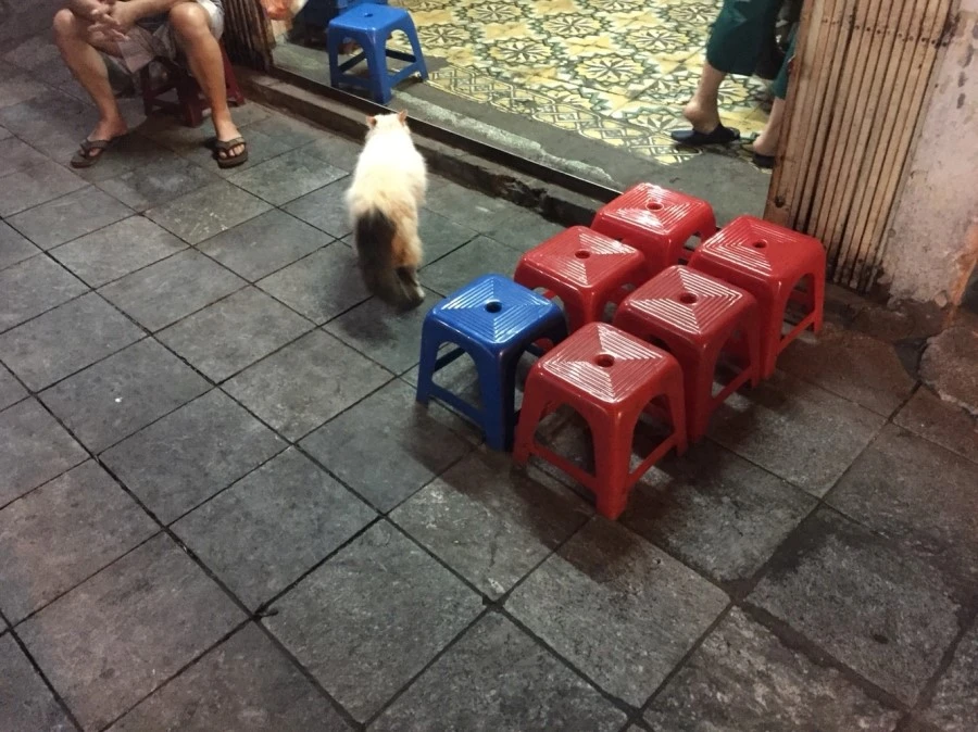 P20160423_215546880_1D47F8DD-6CD8-4C3D-B99A-E251D9402CDE.JPG?type=w1