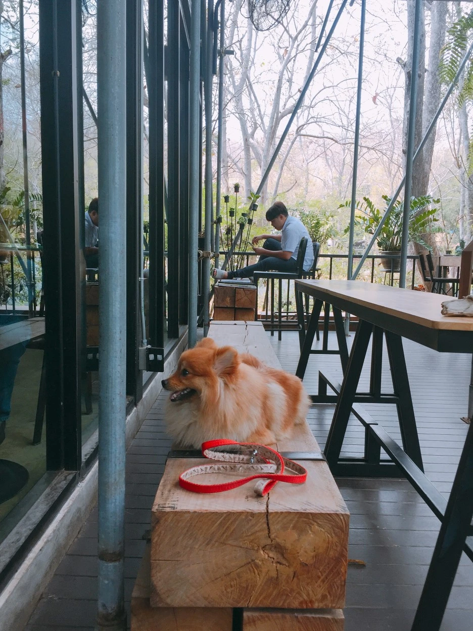 IMG_9311.JPG?type=w1