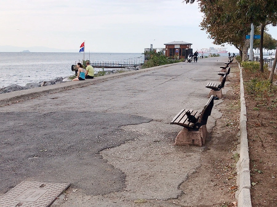 IMG_3025.JPG?type=w1