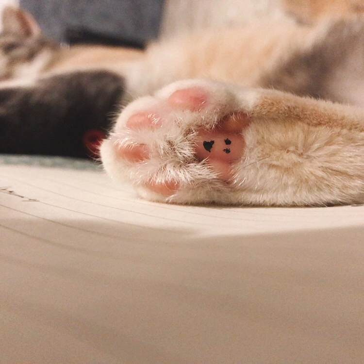 KakaoTalk_20211006_193620797_06.jpg?type=w1